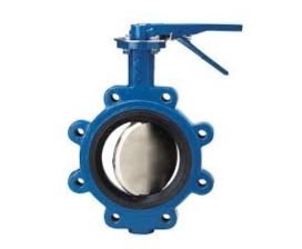 Butterfly Valve Manufacturer in India