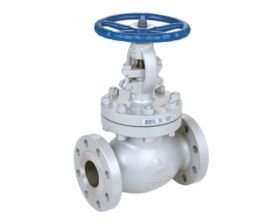 Globe Valve Manufacturer in India